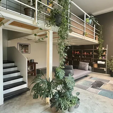 Loft Milanese Con Terrazza Milano